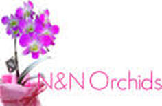 Flowers Mike S Finest Wholesale Flowers Inc